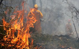 澳森林大火续肆虐96人死亡