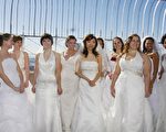 13对新人情人节帝国大厦结婚