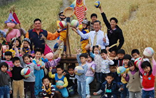 大雅小麦文化节 体验麦乡风情