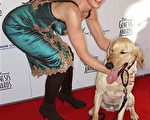 希瑟·米尔斯(Heather Mills)正在弯腰逗狗狗。(图/Getty Images)