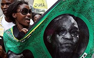 南非民調：獲不起訴後 朱瑪民調攀高