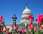 美众议院通过法案 对朝鲜制裁更严厉