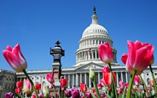 美参议院通过史上最大税改法案