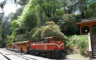 乘百年小火车游阿里山森林游乐区