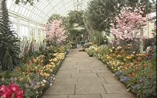 纽约植物园春季鲜花展开幕