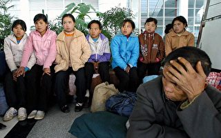 77個中國偷運兒童失蹤 英首相要求調查