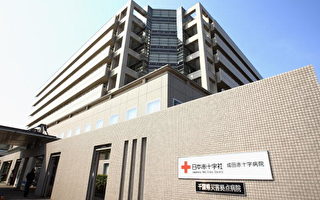圖片新聞：日本甲型H1N1流感疫情
