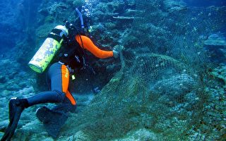 廢魚網蓋珊瑚礁 綠島推海文化取代海鮮文化