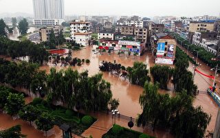 中国广西强暴雨袭20个县市区31万人受灾