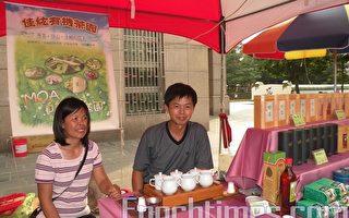 自然农法茶农乐收成  不畏低价茶品冲击
