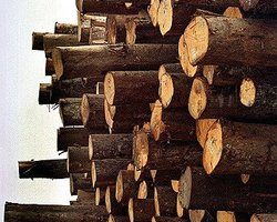木材制天然气  奥地利工厂成新典范