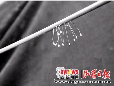 唐理:感悟三大奇观 珍惜万古机缘(图文)