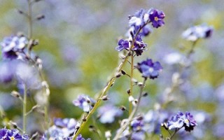 女性弱點二十四式(下)