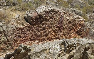 西班牙發現近5億年前史前巨蟲化石
