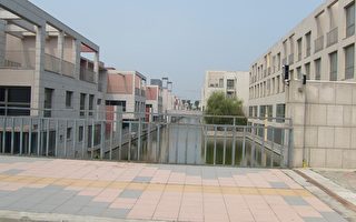 上海浦江鎮被揭建五百棟「特供」別墅