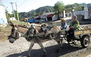 昭君：為什麼大多數美國人害怕社會主義