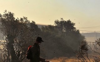組圖：雅典附近村莊遭山火襲擊