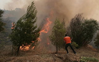希臘野火肆虐　波及雅典郊區住宅