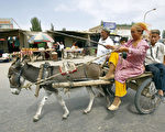 新疆一个维族家庭骑着驴车前去赶集。说土耳其语的穆斯林维吾尔人，在塔克拉玛干沙漠的绿洲上已生活了两千多年，驴车是他们最常见的交通工具，丝绸之路就从这里经过。（AFP）