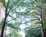 UMBC高居美“有潜力大学”榜首