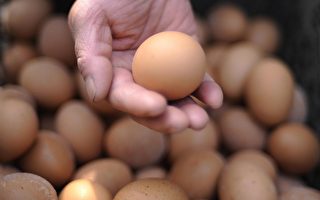 大陸雞蛋漲至每斤4.21元 創年內新高
