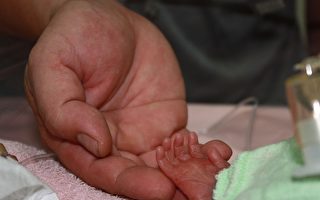 彰基建議婦產科應全面新流感快篩 