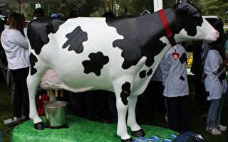 庆祝世界学校牛奶日 品尝营养食品