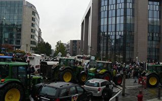 欧洲奶农再次在欧洲总部前抗议