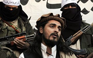 巴基斯坦重兵清剿南部塔利班據點