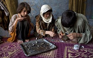 联合国：阿富汗鸦片比战争造成更多人丧生