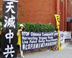 中共副总理澳布里斯本遭抗议