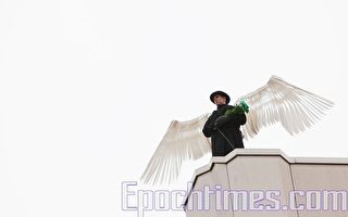 图片报导：柏林上空的“天使”