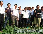 回归田园有成 失业者开心作庄稼