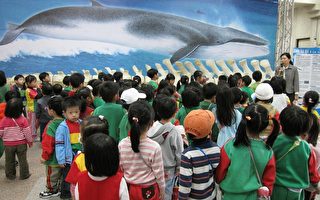珍贵鲸豚骨骼标本 竹县政府中庭展出