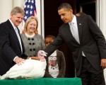 美国总统奥巴马执政以来﹐25日首次特赦感恩节火鸡。他特赦的火鸡被命名为“勇气”。(Getty Images)