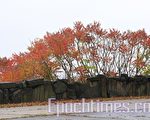 纽约哈德逊山谷秋叶红