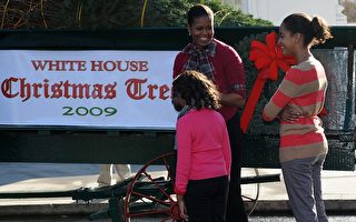 组图：美第一夫人喜迎白宫圣诞树