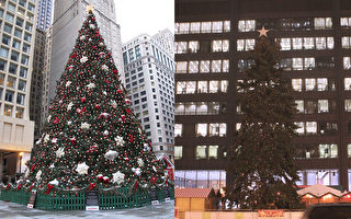 聖誕樹縮水一圈 芝加哥節省25萬