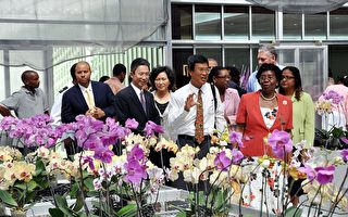 台湾援助圣露西亚兴建温室兰花园启用