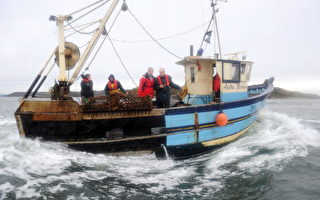 公海危机 联合国拟严加限制渔业活动