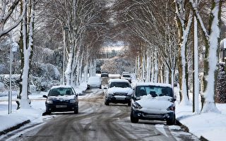 欧洲暴风雪侵袭 交通受阻数十人死