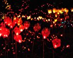 奇幻世界 溫哥華植物園聖誕燈展