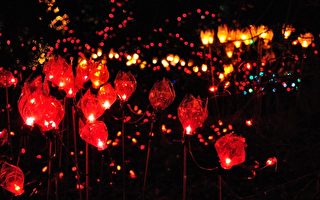 奇幻世界 溫哥華植物園聖誕燈展