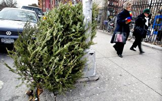 节日勿忘环保——请回收您的圣诞树