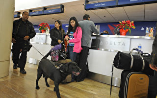 安檢升級 多倫多機場擁擠 班機延誤