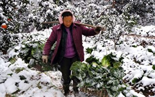 降温特报！中国南方6省区将下雪急冻
