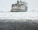 日本巡航船极光2通过北海道浮冰。（法新社）