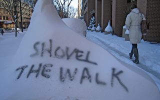 大雪致華府地區經濟損失慘重