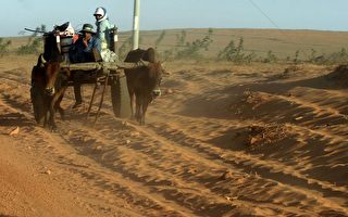 最新研究显示，全球有38%的陆地面临沙漠化危机。其中，北非、中东国家、澳洲、中国西南部和南美西部边缘的沙漠化指数最高。(Frank Zeller/AFP/Getty Images)