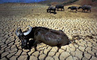 西南重旱持续 九成作物受灾 逾千万人饮水难